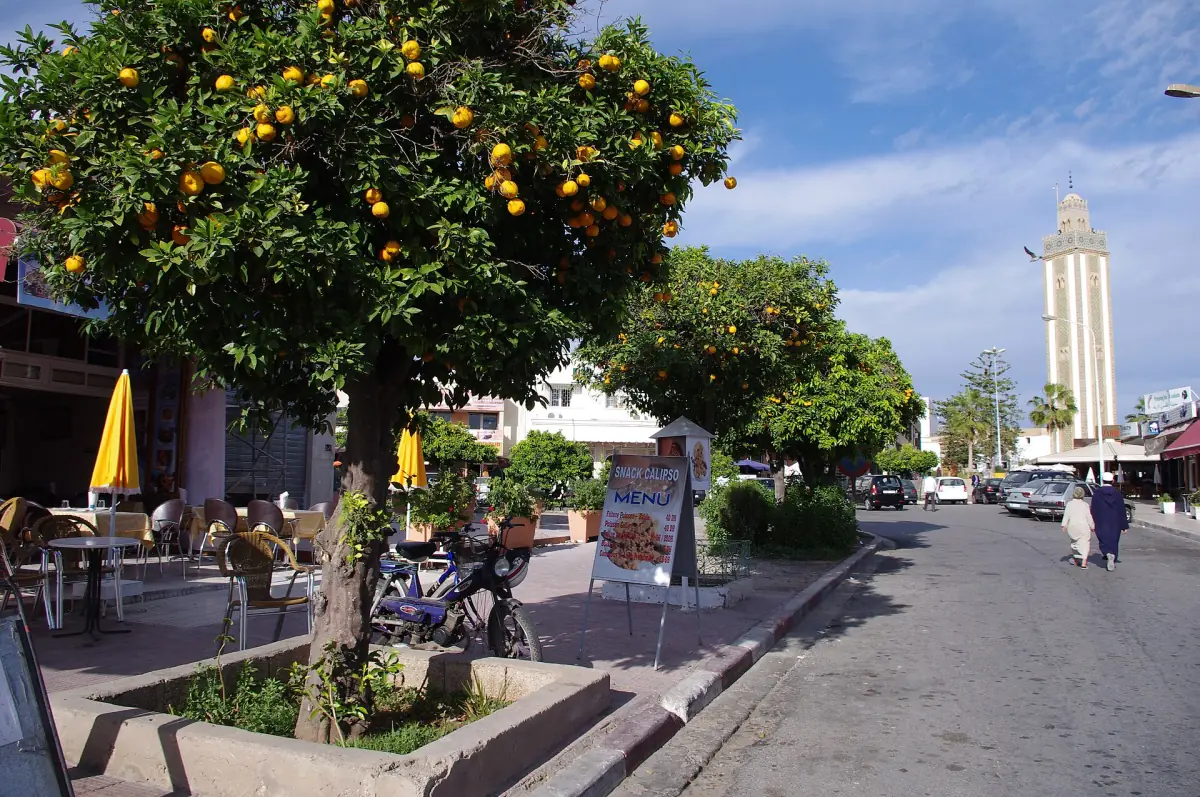 A street with orange trees and a minaret in Agadir